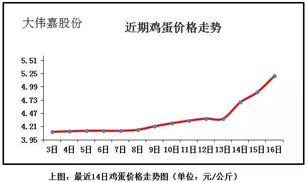 今日全国鸡蛋价格最新行情分析