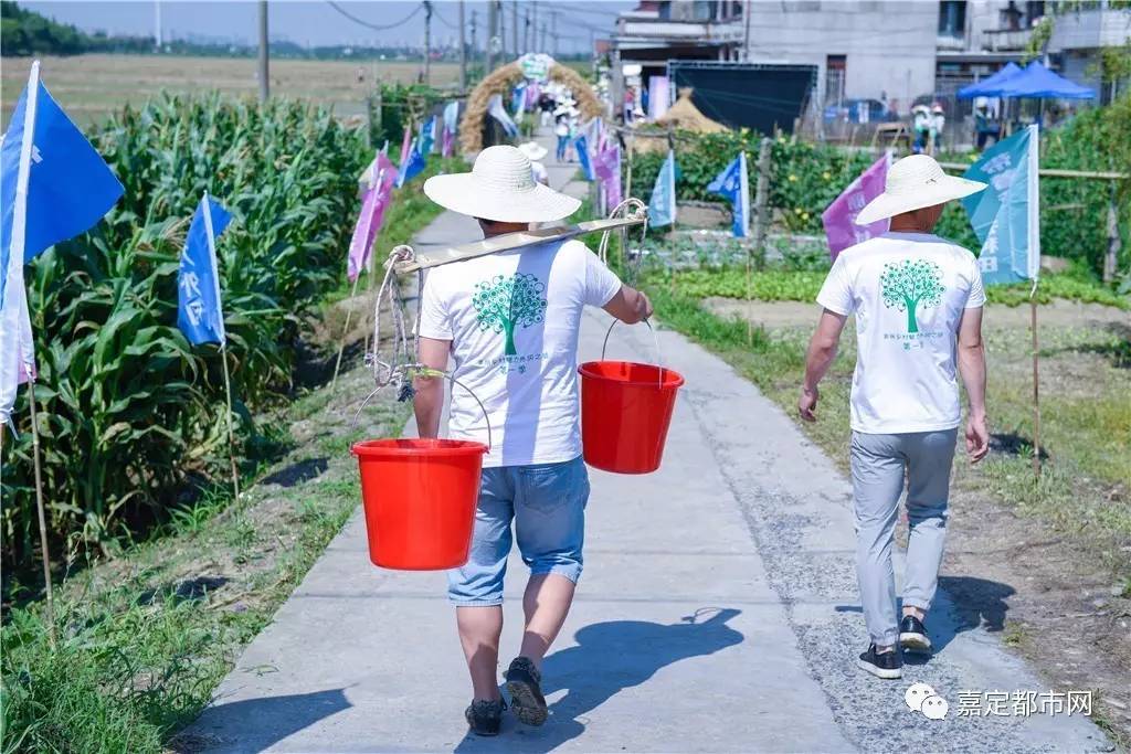 嘉定外冈最新招聘动态及其影响