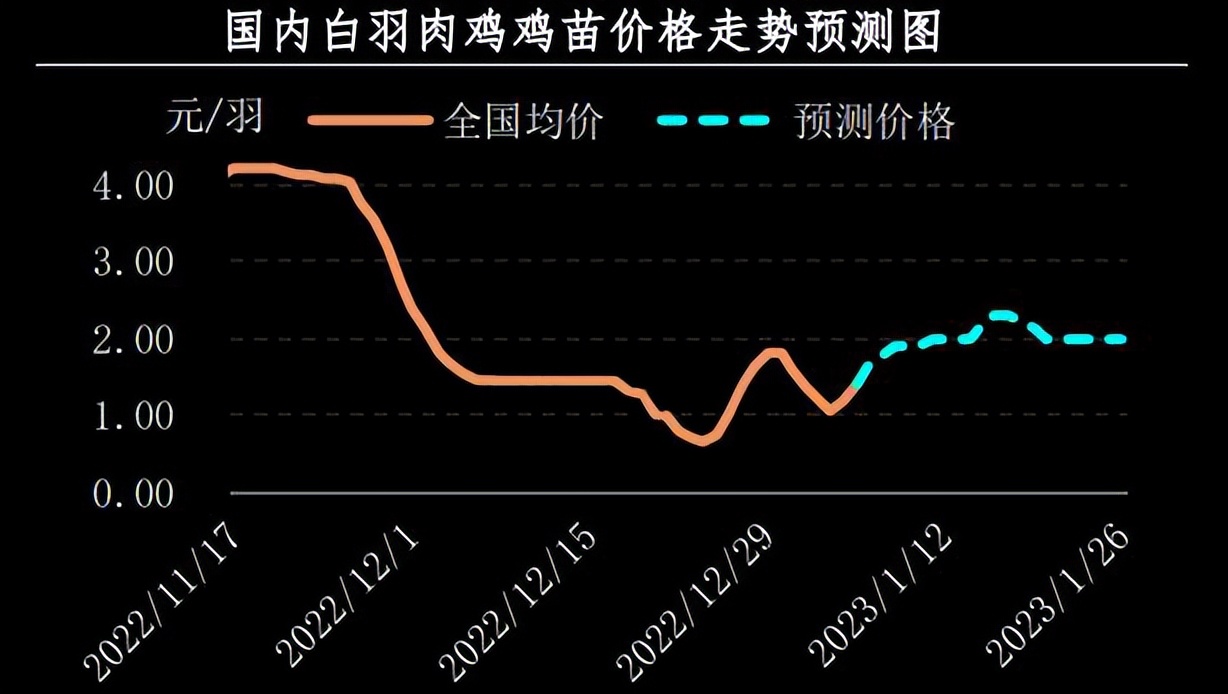 最新肉苗鸡价格行情分析