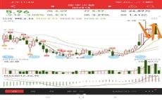 金字火腿股票最新消息深度解析